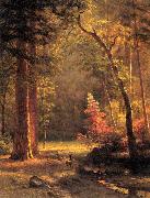 Albert Bierstadt Dogwood by Albert Bierstadt USA oil painting artist